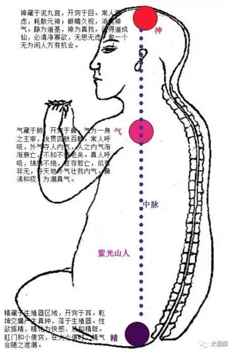 玄關竅位置|玄關正論（修真圖詳解）